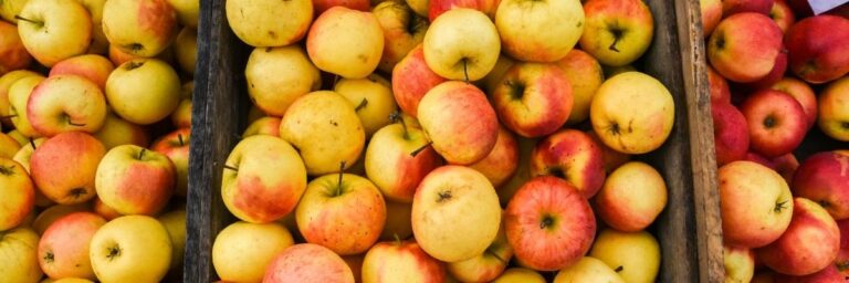 Bafra Kooperatif Pazarı’nda Başarıyla Satılan Yerel Ürünler