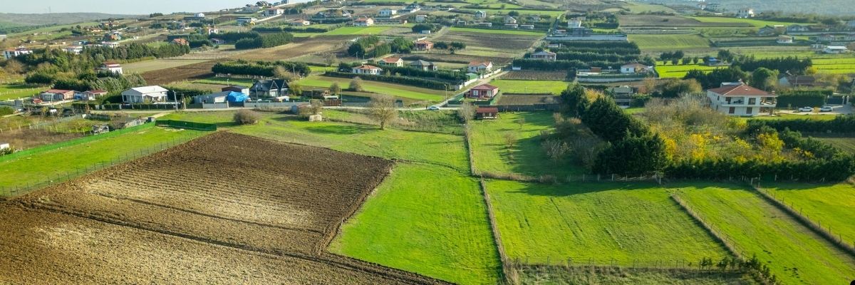 Bafra’da Kırsal Kalkınma Projeleri ve Yeni Teşvikler