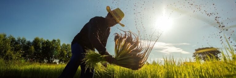 Samsun’da Genç Çiftçilere Yönelik Eğitim ve Fon Desteği