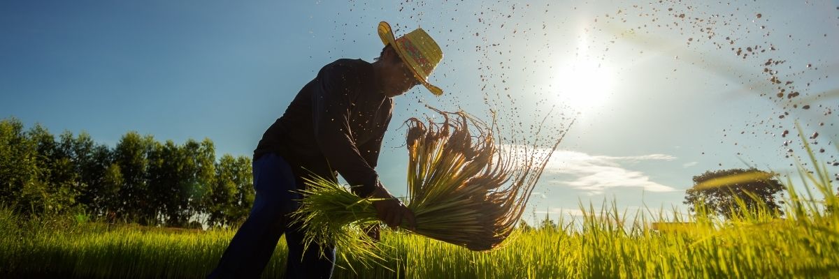 Samsun’da Genç Çiftçilere Yönelik Eğitim ve Fon Desteği