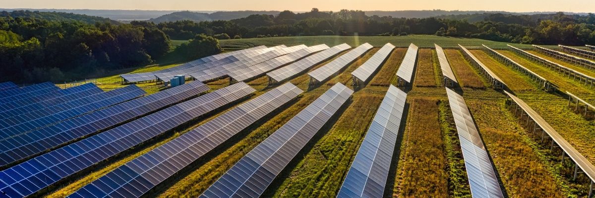 Samsun’da Akıllı Tarım Teknolojileri Kullanımı Yaygınlaşıyor