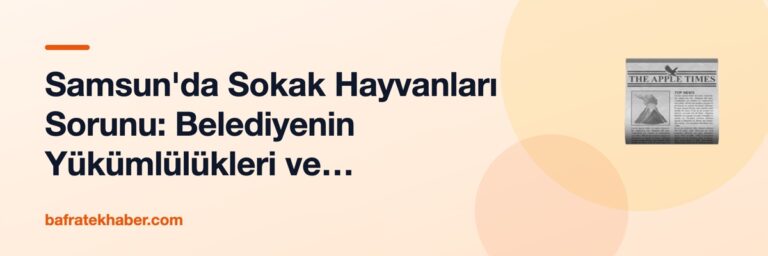 Samsun'da Sokak Hayvanları Sorunu: Belediyenin Yükümlülükleri ve Vatandaşın Hakları